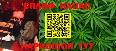 Альфа ПВП Кузнецк