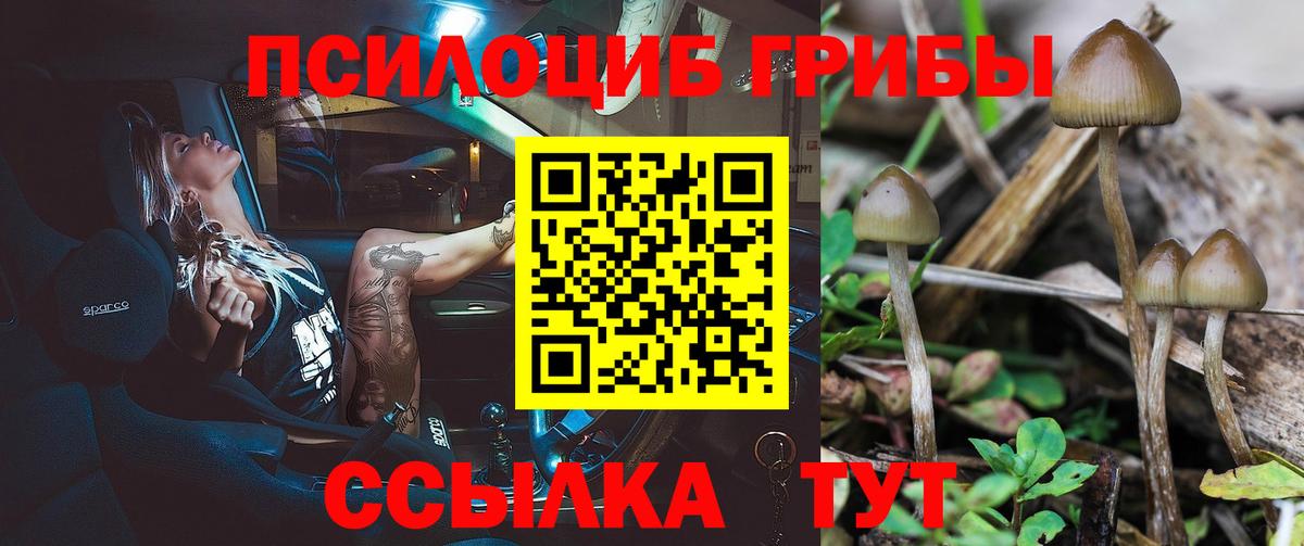 Галлюциногенные грибы мицелий Качканар