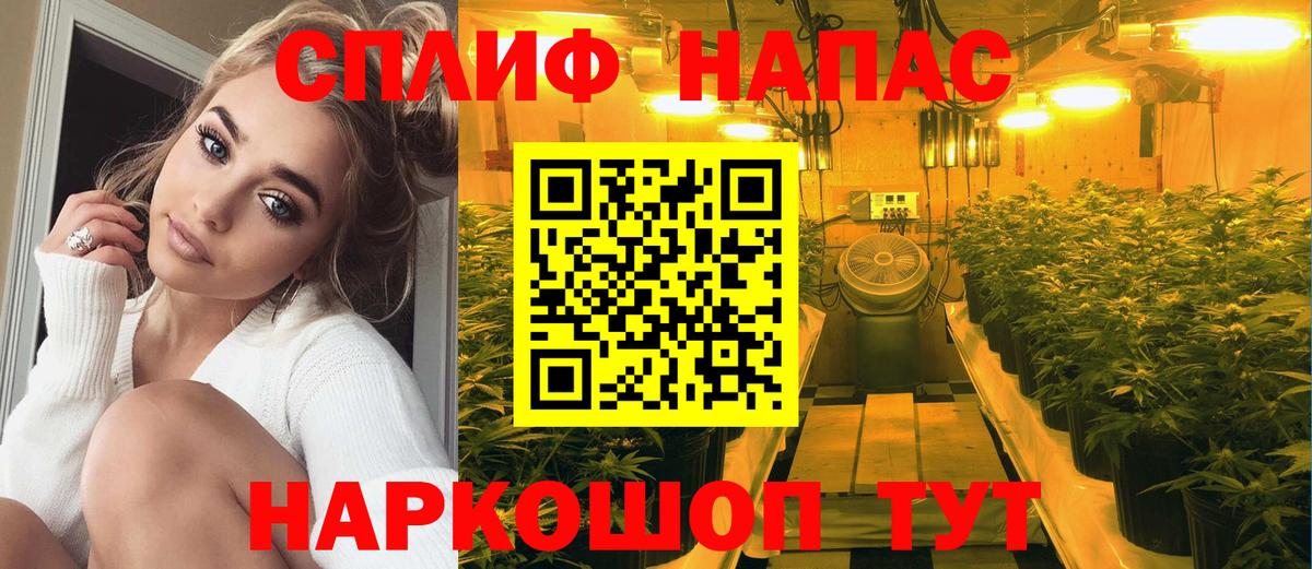 Качканар  Бошки марихуана конопля  МАРИХУАНА план  Вход с VPN  Шишки марихуана LSD WEED 